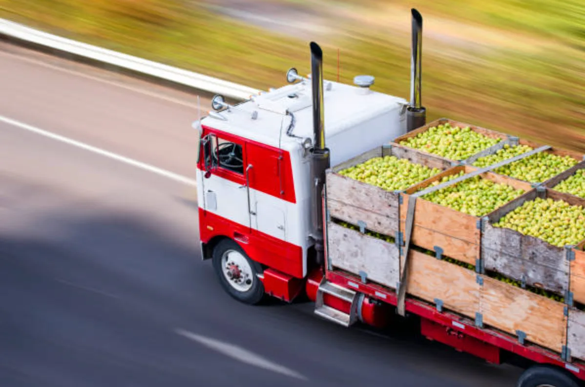 Jaga Kesegaran Buah Anda dengan Layanan Sewa Truk Box Profesional
